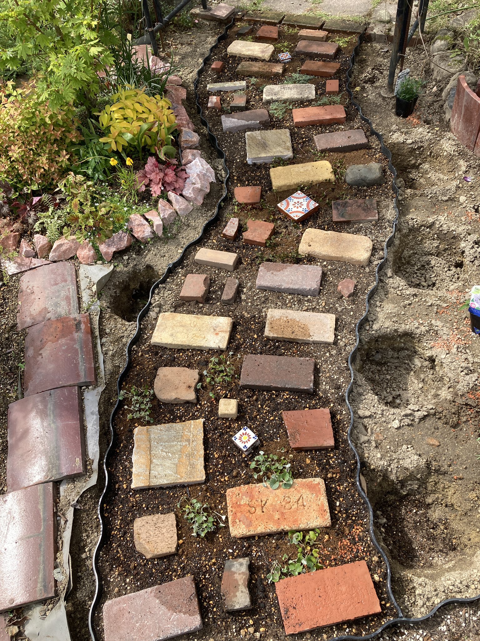 花楽咲庭 庭の改装は少しずつ 進んでいます 小道にレンガなど敷き 植物を4種植える 小道の両サイドに季節の花を 植え防草シートと砂利敷き まで終了 庭改装中part2 レンガの小道 ディコンドラ リシマキア タイム プラティア マイガーデン 花楽咲庭 庭の改装は少しずつ 進んでいます 小道にレンガなど敷き 植物を4種植える 小道の両サイドに季節の花を 植え防草シートと砂利敷き まで終了 庭改装中part2 レンガの小道 ディコンドラ リシマキア タイム プラティア マイガーデン