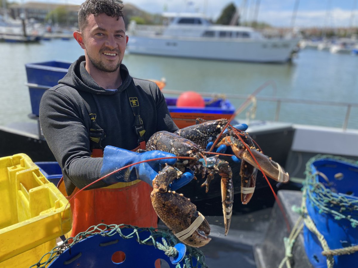 Dorset Shellfish (@dorsetshellfish) on Twitter photo We’re #fishing and cooking up our #shellfish #Lobsters off our boat today. We’re be at #canford cliffs village hall Thursday and <a href="/DorsetFarmMkts/">Dorset Farmers Mkts</a> #sherborne Friday. If you can vote for us that would be cracking an unexpected nomination 😊🦀🎣🦞 fishingnews.co.uk/featured/fishi… We’re #fishing and cooking up our #shellfish #Lobsters off our boat today. We’re be at #canford cliffs village hall Thursday and <a href="/DorsetFarmMkts/">Dorset Farmers Mkts</a> #sherborne Friday. If you can vote for us that would be cracking an unexpected nomination 😊🦀🎣🦞 fishingnews.co.uk/featured/fishi…