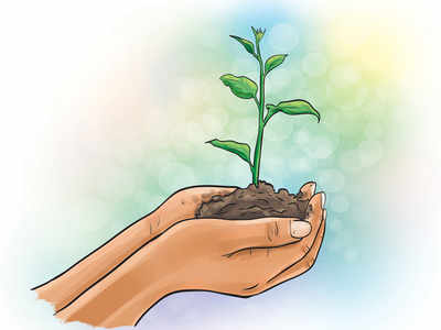 _Seema_insan's tweet photo. #SaintdrGurmeetRamRahimJi has started a great initiative #NatureCampaign in which  volunteers of #DeraSachaSauda  do #TreePlantation 2 #savemotherearth  &amp; #saveenviornment  4 future generations by pious inspiration of #StdrMSG #BabaRamRahimJi Make plastic free world #StRamRahimji https://t.co/AuE65qSg7Q