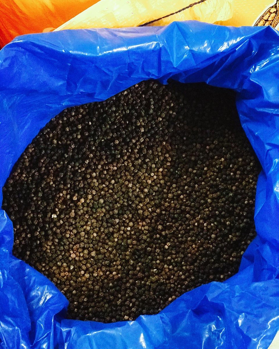 greensaffron's tweet photo. Here they are!! Via our Spice Hub in The Netherlands fantastic #freshspice direct from partner farms in India to ensure maximum food safety, absolute traceability and beautiful, fresh flavour. Right, time to get them out into market.... anyone looking for a few spices??! 🌶💚☘️ https://t.co/ePirqbMgRZ