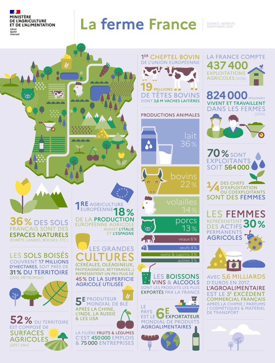 Agri_Gouv's tweet photo. #Semainedelagri | Quelle est la place de la France 🇫🇷 dans l'agriculture européenne 🇪🇺 ? Découvrez-le dans notre #infographie "La ferme France" 👇 https://t.co/53sL3RhLjj