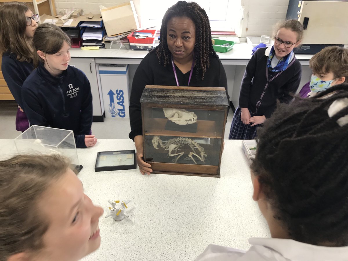 Learning about vertebrates today here ⁦@PSHeadSutton⁩ ⁦Loads of questions from our year 6 pupils, they are so inquisitive <a href="/biology_shs/">SHS_Biology</a>⁩ #ks2 #science #skeleton #biology