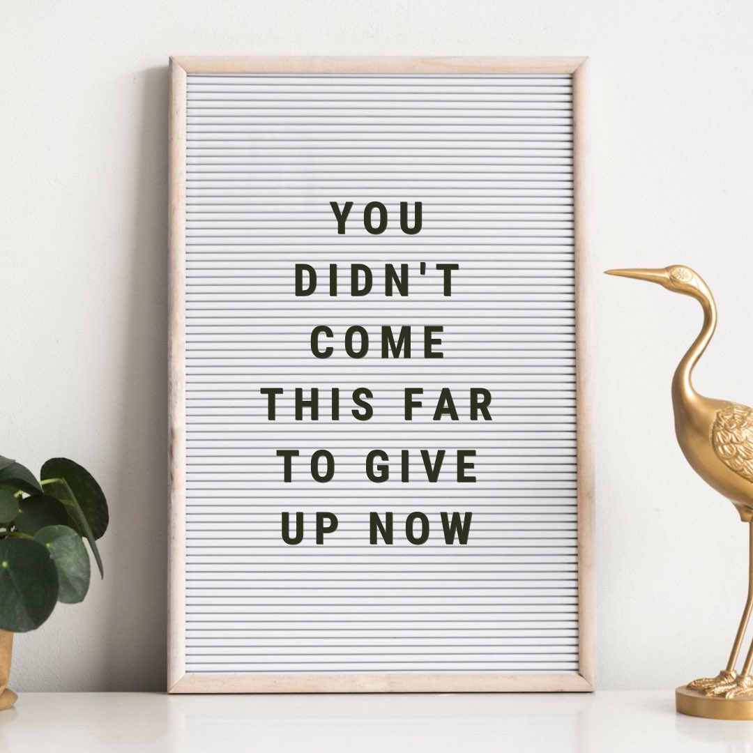 IVFMDFlorida's tweet photo. Sending positive vibes and baby dust to our #TTCCommunity!! 💕🌈✨ You got this!!
#MondayMotivation 💪🏼 #IVFMD https://t.co/L43Jfy5Qok
