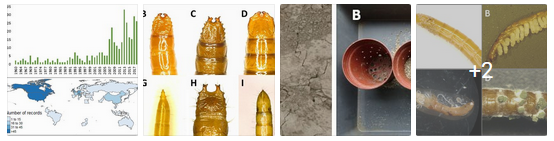 UMR Igepp tweet media