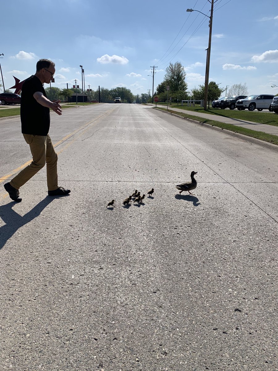 cakuker's tweet photo. @SpiritLakeIA Daisy and babies found their new home! Thanks @rschmidtSLHS https://t.co/hyKegBveaI