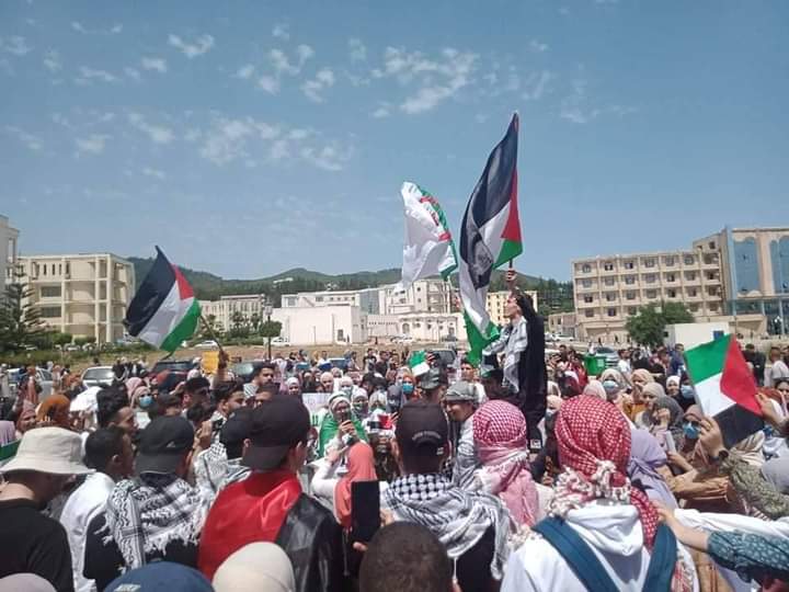 ryemalik's tweet photo. Our university today 20 août 1955 skikda 🇩🇿❤️🇵🇸
#FreePalaestine 
#GazaUnderAttak 
#PalestinianLivesMatter https://t.co/QE9rZYCYWx