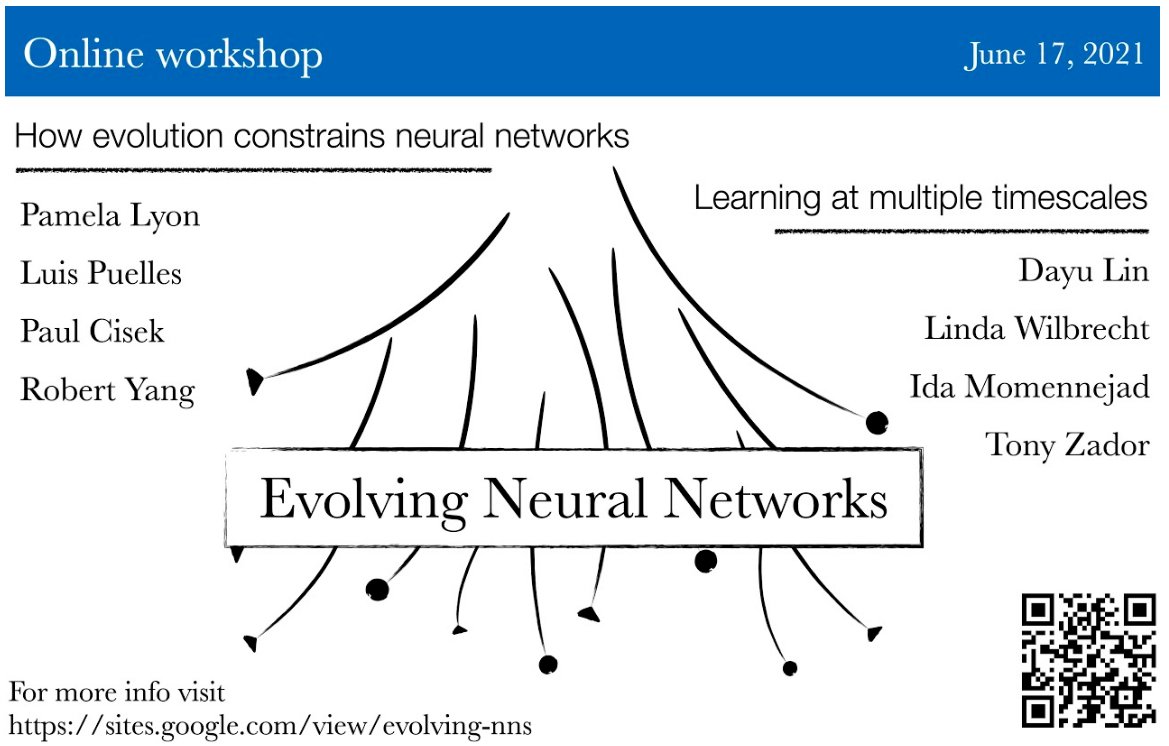 Manuel Molano Mazón tweet media