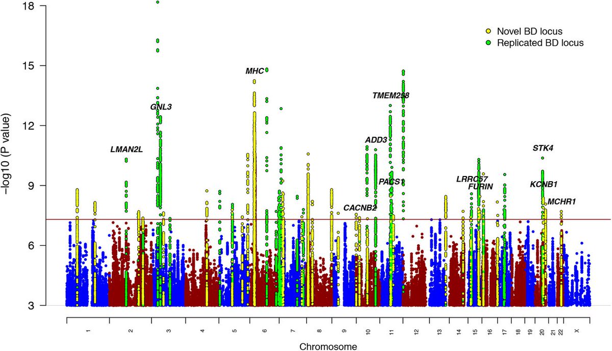PGC Consortium (@pgcgenetics) on Twitter photo Latest #GWAS from the <a href="/PGCgenetics/">PGC Consortium</a> #bipolar disorder working group identifies 64 loci, 33 of them novel, using over 40k European BD cases – now published in <a href="/NatureGenet/">Nature Genetics</a>. Results could eventually aid #precision #medicine. nature.com/articles/s4158… 1/7 Latest #GWAS from the <a href="/PGCgenetics/">PGC Consortium</a> #bipolar disorder working group identifies 64 loci, 33 of them novel, using over 40k European BD cases – now published in <a href="/NatureGenet/">Nature Genetics</a>. Results could eventually aid #precision #medicine. nature.com/articles/s4158… 1/7