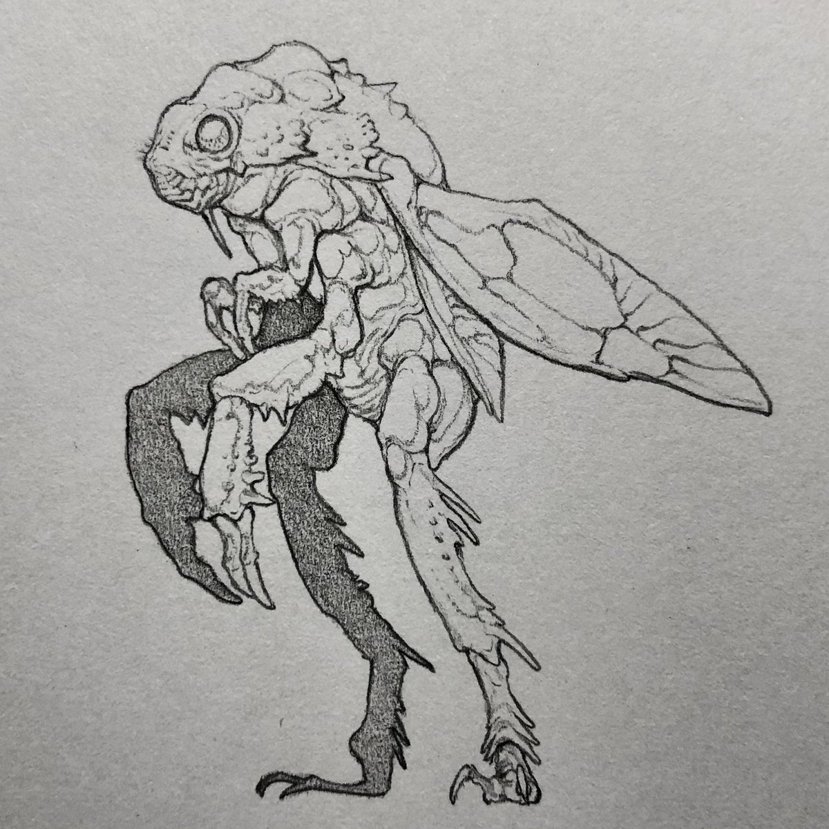 #creaturedesign 