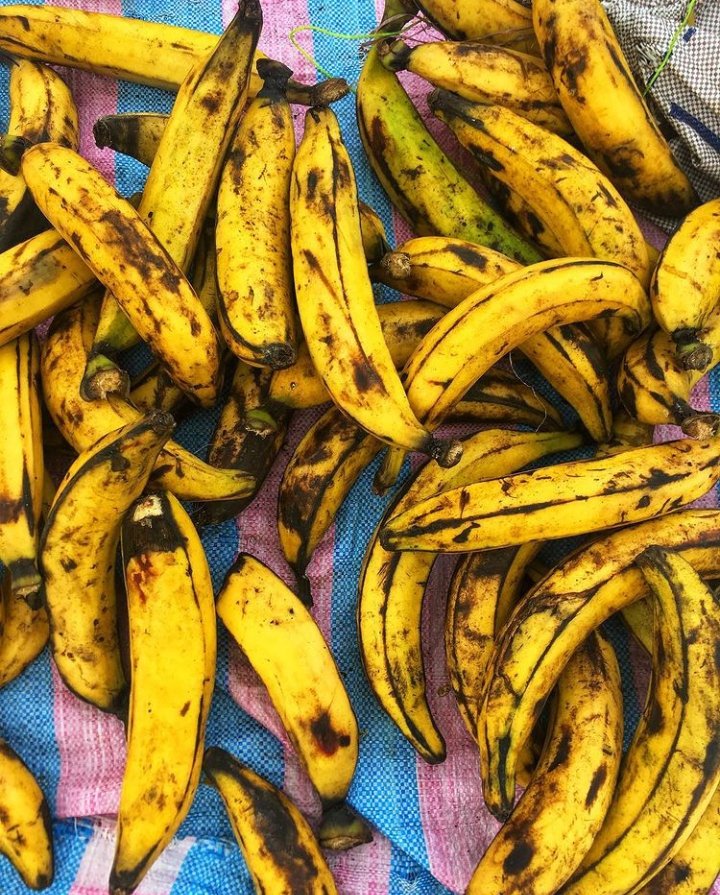 StayWell_Now's tweet photo. Studies have shown that ripe plantain contains a high amount of provitamin A, a nutrient that is useful for maintaining eye and skin health.

📸: @enyobrukutravels 

#staywellnow #plantain #plantbased #addaplant #ripeplantain #dodo #dodogang #kelewele #tatale #kaklo #nutrition https://t.co/4siqOiukzE