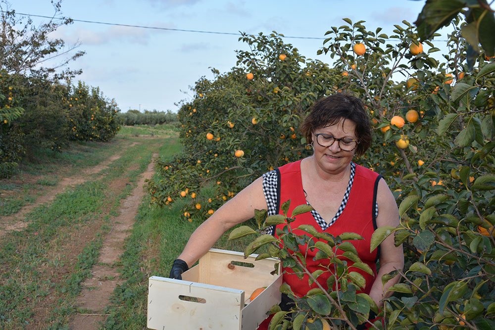 🔊 ÀUDIO #AlMatí | L'Enllaç de l'Ebre (<a href="/som_ebre/">L'Enllaç de l'Ebre</a>) és una cooperativa que uneix productors i consumidors al voltant dels aliments ecològics de proximitat.

També estan desenvolupant un segell de qualitat propi: #SomEbre

▶️ bit.ly/Consum170521
