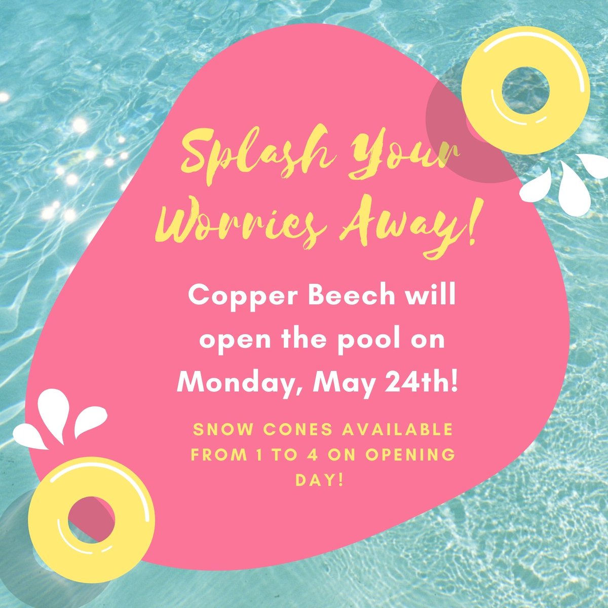 Copper Beech Radford tweet media