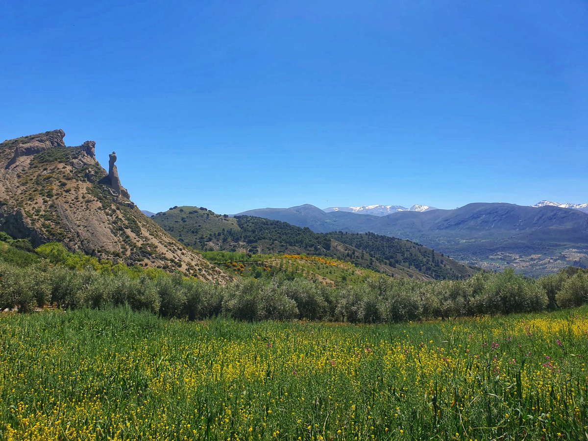⭐Ayer visitamos #BeasdeGranada, descubriendo paisajes tan increibles como este...con el #CerrodelFraile a la izquierda y la singular formación que lo preside, provocada por la erosión del viento...Muchas gracias a Antonio y Montse de #SenderosyTradiciones 👏👏👏
<a href="/AytoBeas/">Ayuntamiento de Beas</a>