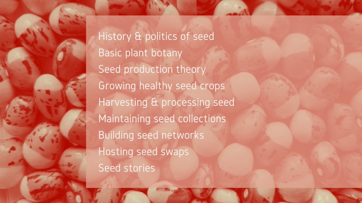 Join us in <a href="/OxCityFarm/">Oxford City Farm</a> next week for our first (safe) IN-PERSON training of the year! 
We'll be exploring the whys &amp; hows of saving seed, setting you up to give this fulfilling, empowering practice a try yourself.

bit.ly/3omW5OB