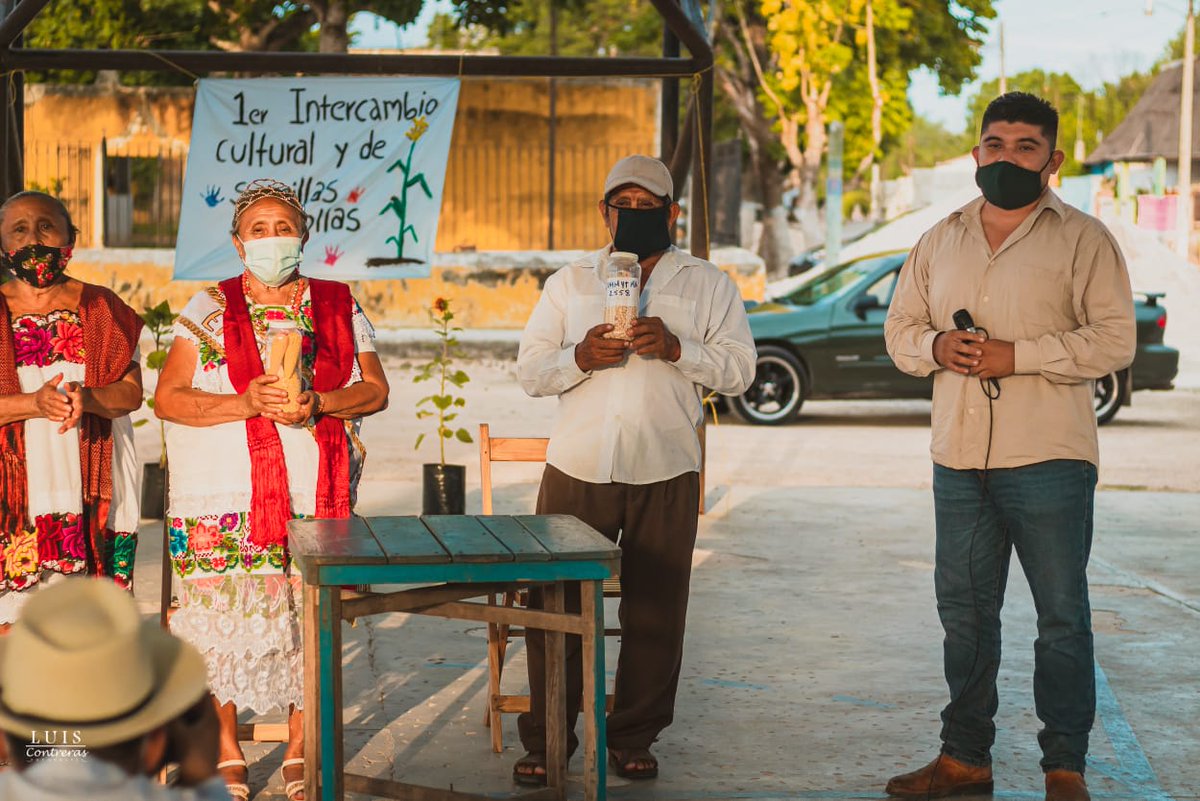 EMiranda_YUC's tweet photo. Ayer 16/05 realizamos un intercambio cultural y de semillas criollas entre #Dzitás y #Kantunil #Yucatán
Hicimos entrega de maíz que solicitamos al @BGermoplasma del @CIMMYT en 2020. Estamos contentos por contribuir en la reinserción de semillas a su comunidad de origen https://t.co/7SCa4rLJVW