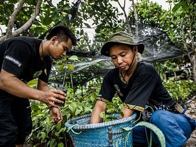 bookwhen's tweet photo. Nature published Cécile's article! 🙌  How to Cool The Planet with Nature Based Solutions 🌲🌳🌍🌴🌵 - @cecilegirardin leads our sustainability efforts here at Bookwhen and we’re all so happy for her! 😀  https://t.co/aOwqK9qSwD @Nature #naturebasedsolutions #ForNature https://t.co/LvnTUcNW1Z