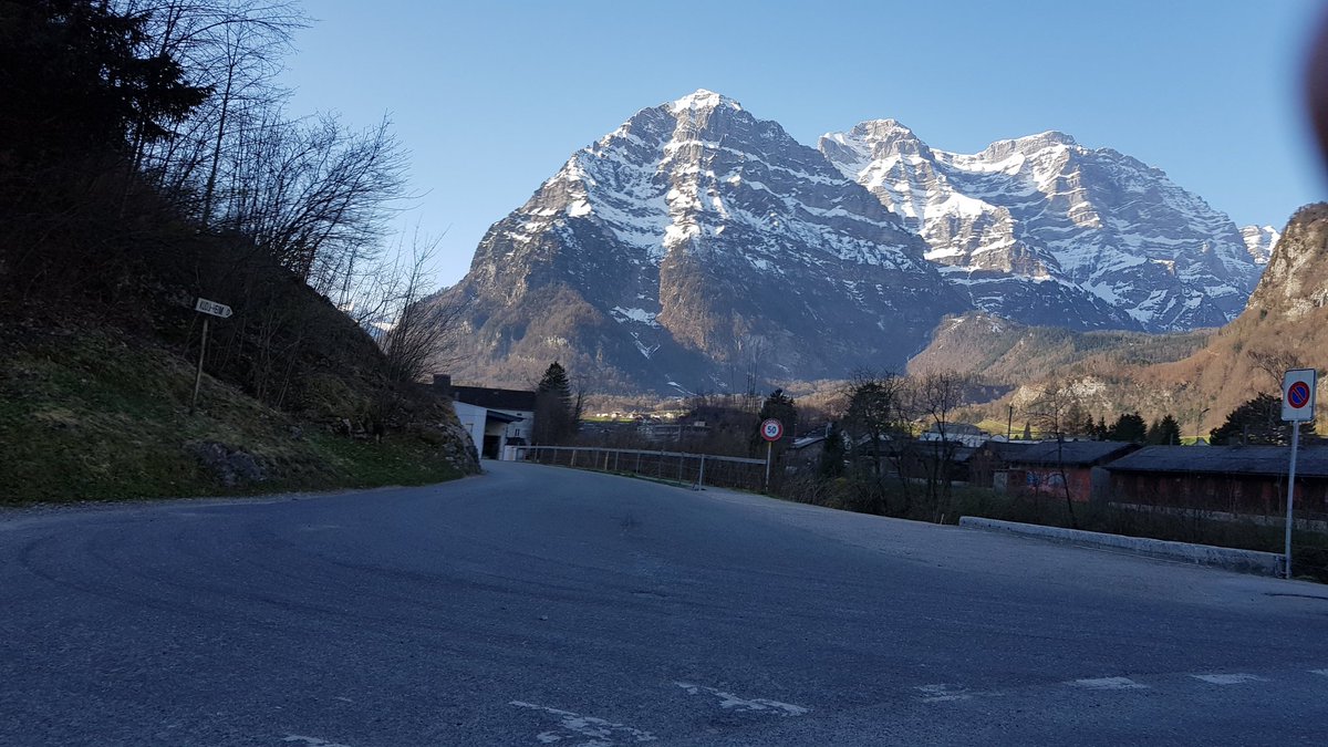 Silvan (PandaTooth) tweet media