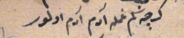 Bu da bir antitez. Acı ile insan olgunlaşır diyor.

"Gerçi beğim gam ile âdem, âdem olur."
