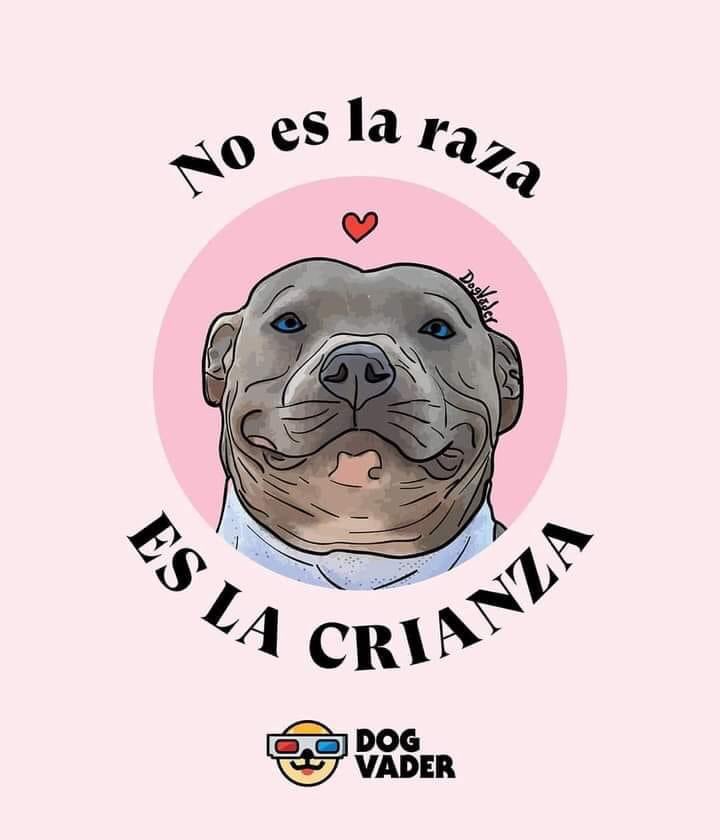 malejedraszek's tweet photo. Ojalá le pongan el mismo empeño que le pusieron a esta ley nefasta en atrapar violadores, abusadores y asesinos. En vez de andar queriendo ponerle chips a animales o registrándolos, como si fueran unas bestias. Las bestias están en las calles y ustedes son parte! @JulioGarro https://t.co/7027t2svkl