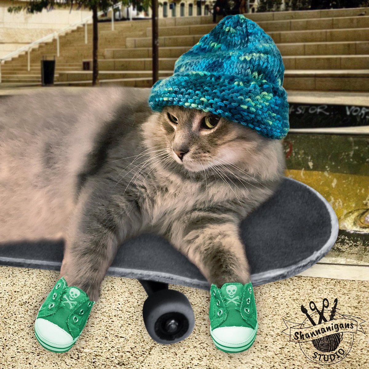 ShannanigansST's tweet photo. I’ve been absent from here for a while so here’s a picture of my cat as a sk8er cat. 😹 Knit beanie by me. 
#skatercat #knitbeanie #CatsOfTwitter #funnycat #sk8erboy https://t.co/h6RwbY0UpN