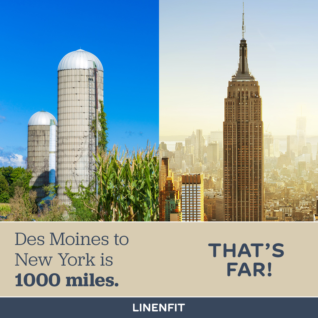 LinenFit's tweet image. Share your 1000 #trivia in the comments and use code LUXURY10 to #save 10% at checkout! #linenfit