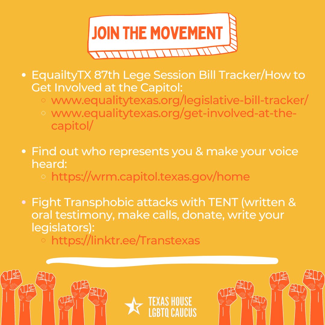 txlgbtqcaucus's tweet photo. On International Day Against Homophobia, Transphobia, & Biphobia, we celebrate gender & sexual diversity & call on you to join us in fighting against continued attacks on LGBTIQA+ Texans during the #87thSession. Read on for more.#TxLege #IDAHOBIT #ProtectTransKids #TransRights https://t.co/FuiZQUTdwq