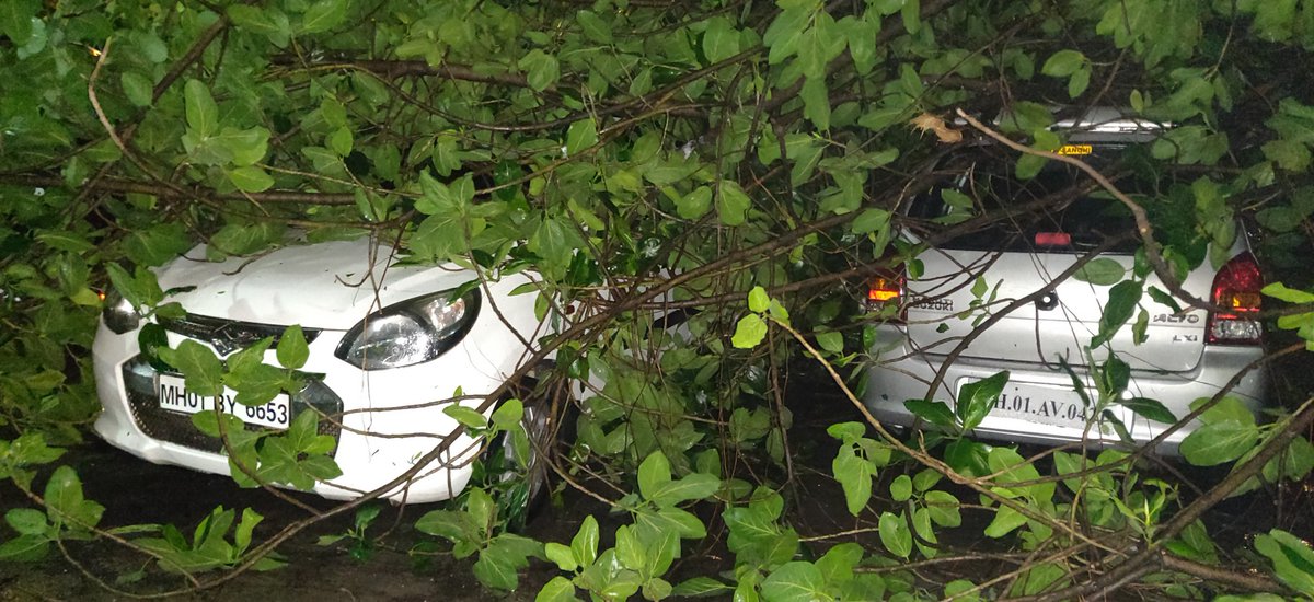 SiddhantPokle's tweet photo. @mybmc @AUThackeray @milinddeora @mybmcWardGS @CMOMaharashtra A huge banyan tree has fallen on the main road near Worli Police station &amp; there are 6 cars stuck underneath. A live Electric pole is lying on ground and needs to be taken off to avoid any further short circuit (1/2) https://t.co/MmP7XT03Qc