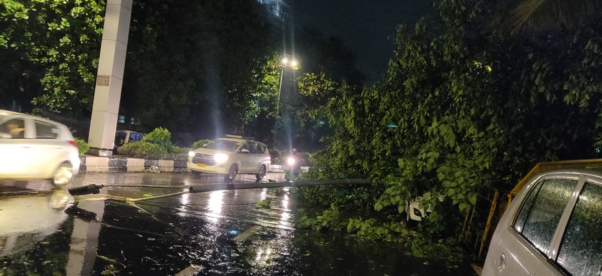 SiddhantPokle's tweet photo. @mybmc @AUThackeray @milinddeora @mybmcWardGS @CMOMaharashtra A huge banyan tree has fallen on the main road near Worli Police station &amp; there are 6 cars stuck underneath. A live Electric pole is lying on ground and needs to be taken off to avoid any further short circuit (1/2) https://t.co/MmP7XT03Qc
