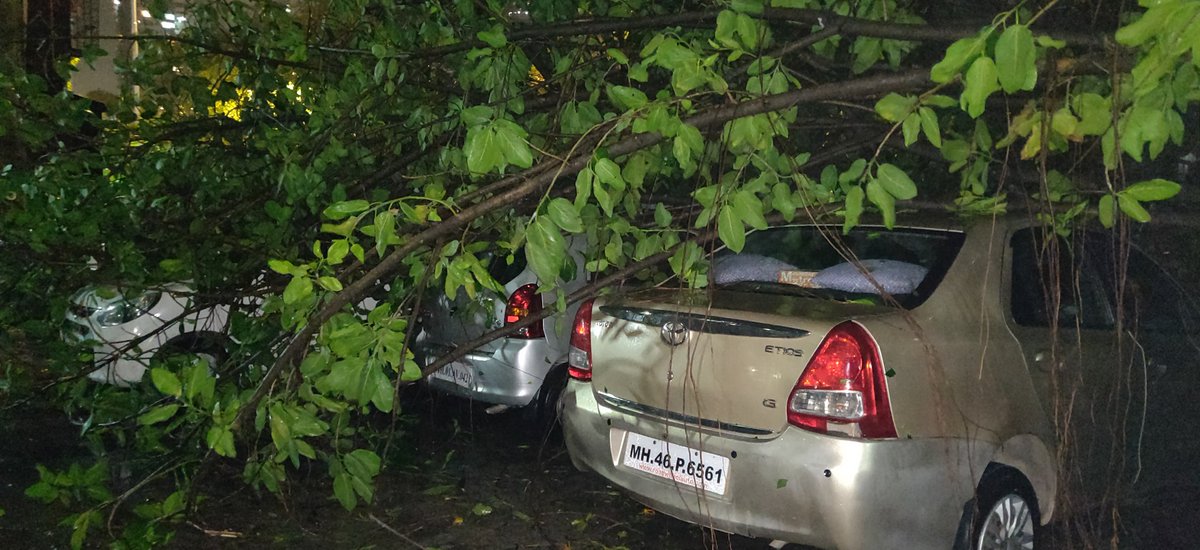 SiddhantPokle's tweet photo. @mybmc @AUThackeray @milinddeora @mybmcWardGS @CMOMaharashtra A huge banyan tree has fallen on the main road near Worli Police station &amp; there are 6 cars stuck underneath. A live Electric pole is lying on ground and needs to be taken off to avoid any further short circuit (1/2) https://t.co/MmP7XT03Qc