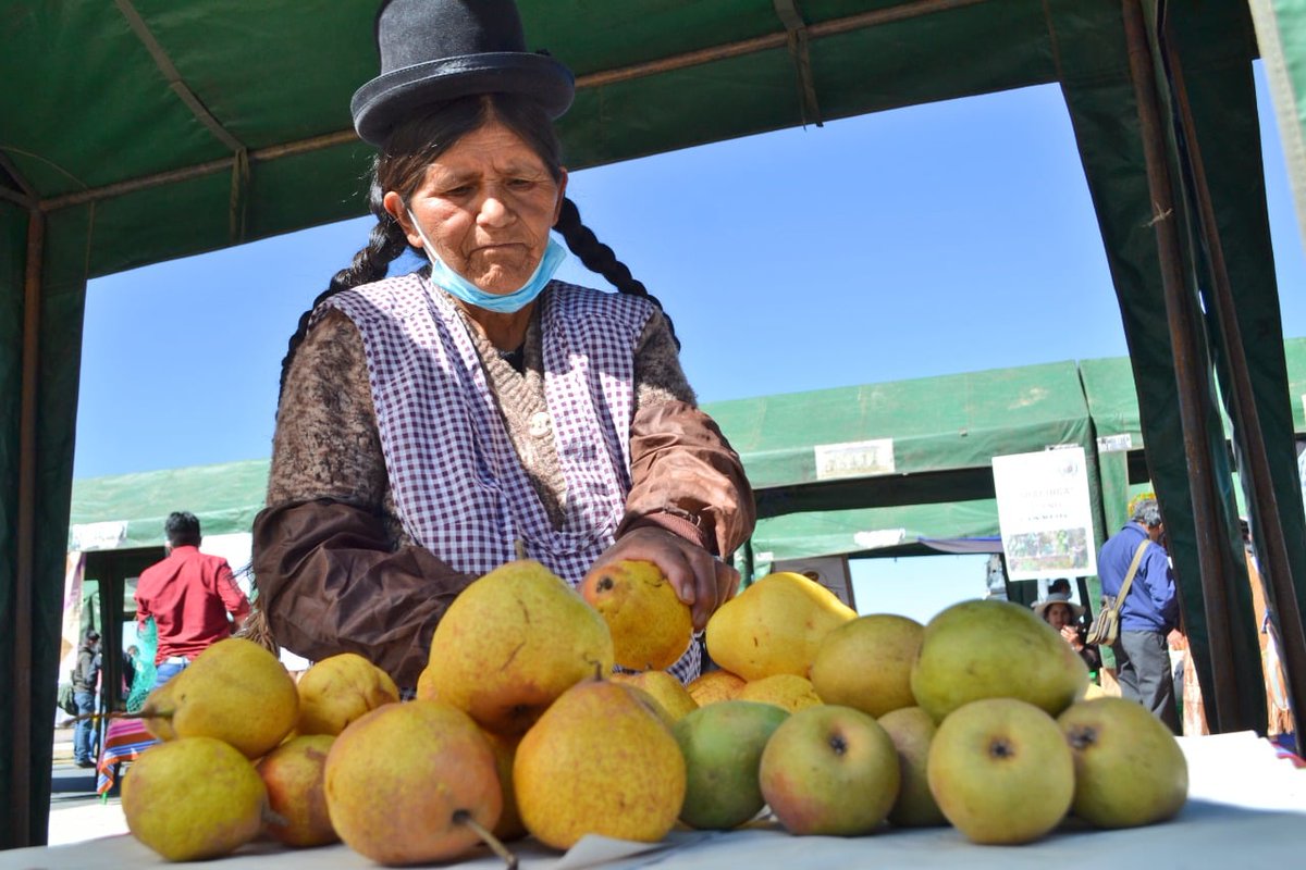 MDRyTOficial's tweet photo. #GestiondeGobierno | La "Feria de la Promoción y Sensibilización del Consumo de la Fruta Boliviana" contó con variedades de primera calidad, @IPDSA_Bolivia llevó adelante el evento con la participación de productores y productoras de varias zonas del país

#VamosASalirAdelante https://t.co/zDlrXlNZkY