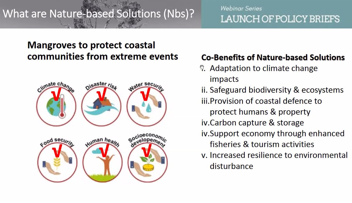 vikki_vikster's tweet photo. Really interesting webinar organised by team NexAMS today with colleagues from @PlymUni @uni_malaya @PlymouthMarine also linking in with some work on @GCRF @BlueCommunities re #policybrief launch for #NatureBasedSolutions & #IGGI
@anaturalstate @Louise_Firth_IE @Mel_Austen https://t.co/EQlkt9gEor