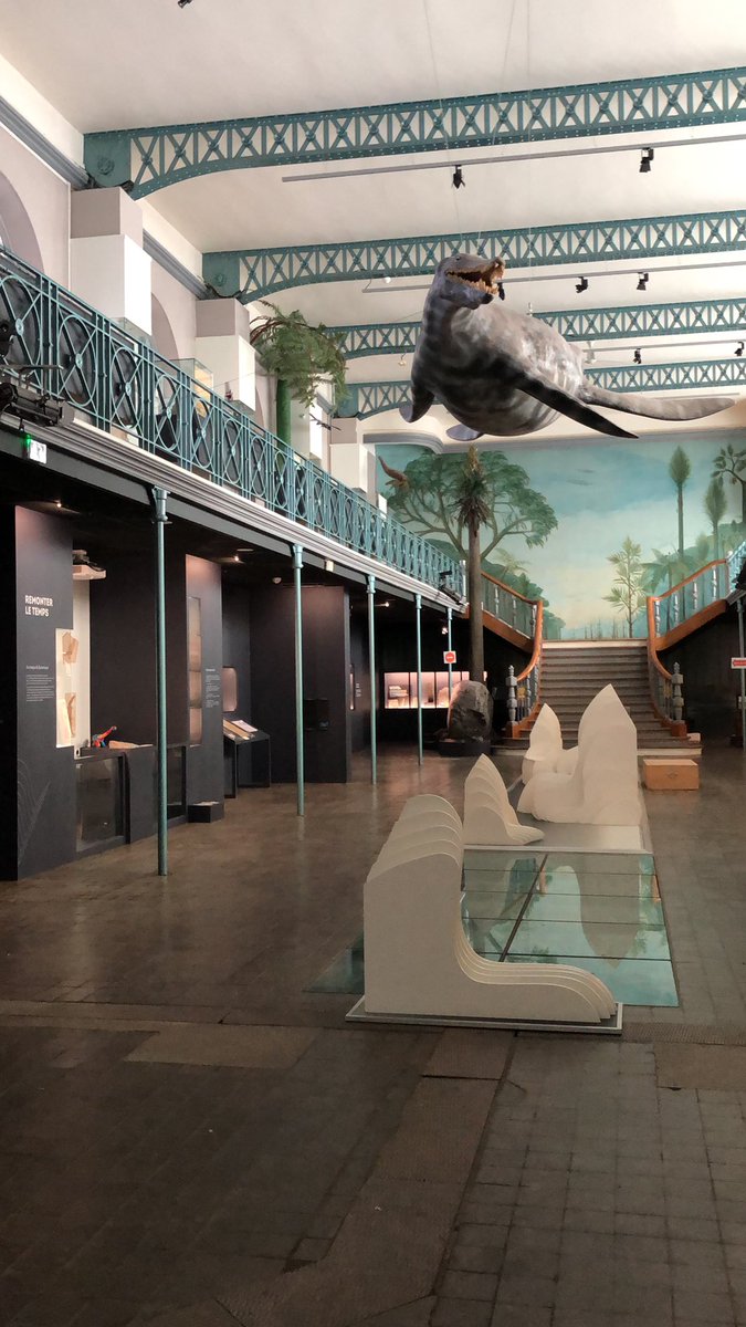 Muséum de Lille tweet media