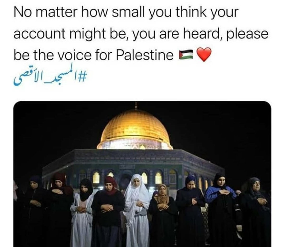iamshafixe's tweet photo. #IndiaStandsWithPalestine #PalestineBleeding #PalestineWillBeFree https://t.co/a5n5noRvf7