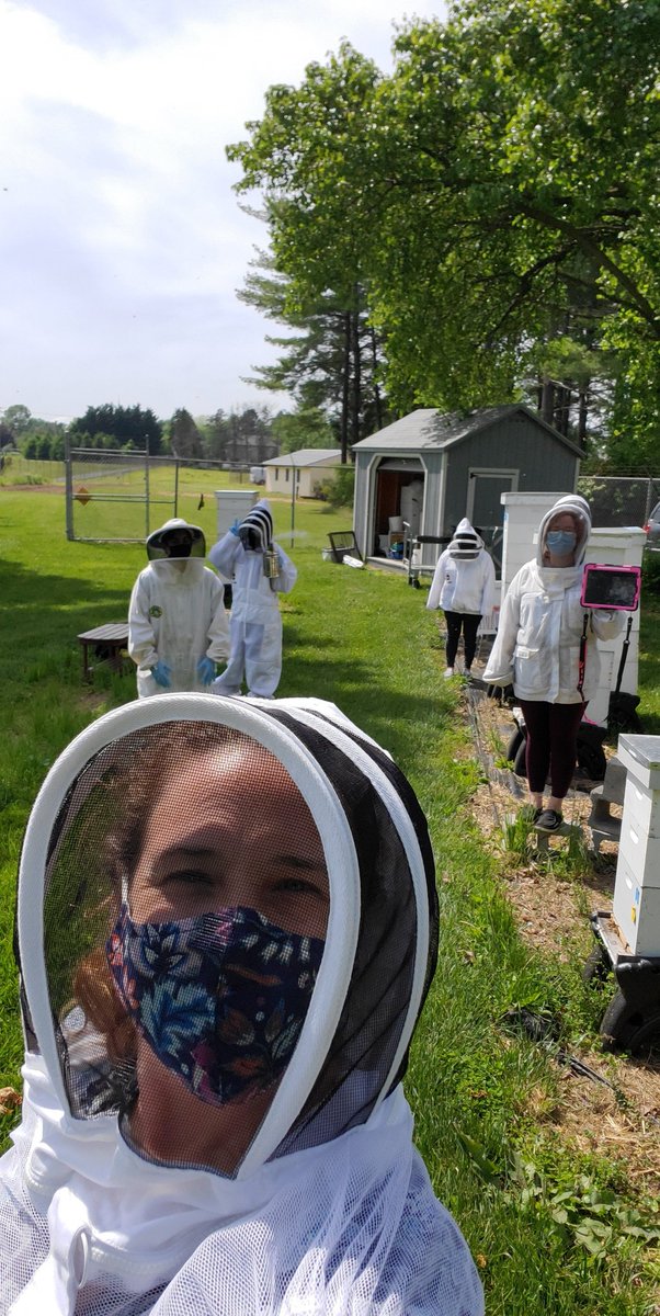 #MyHybridDayAtCTC had us in the apiary to conduct a quick hive inspection this morning.  We wanted to see if hive #5 took the frame of eggs we gave them and began the process of making themselves a new queen.  We found they had started making themselves 3 new queens!