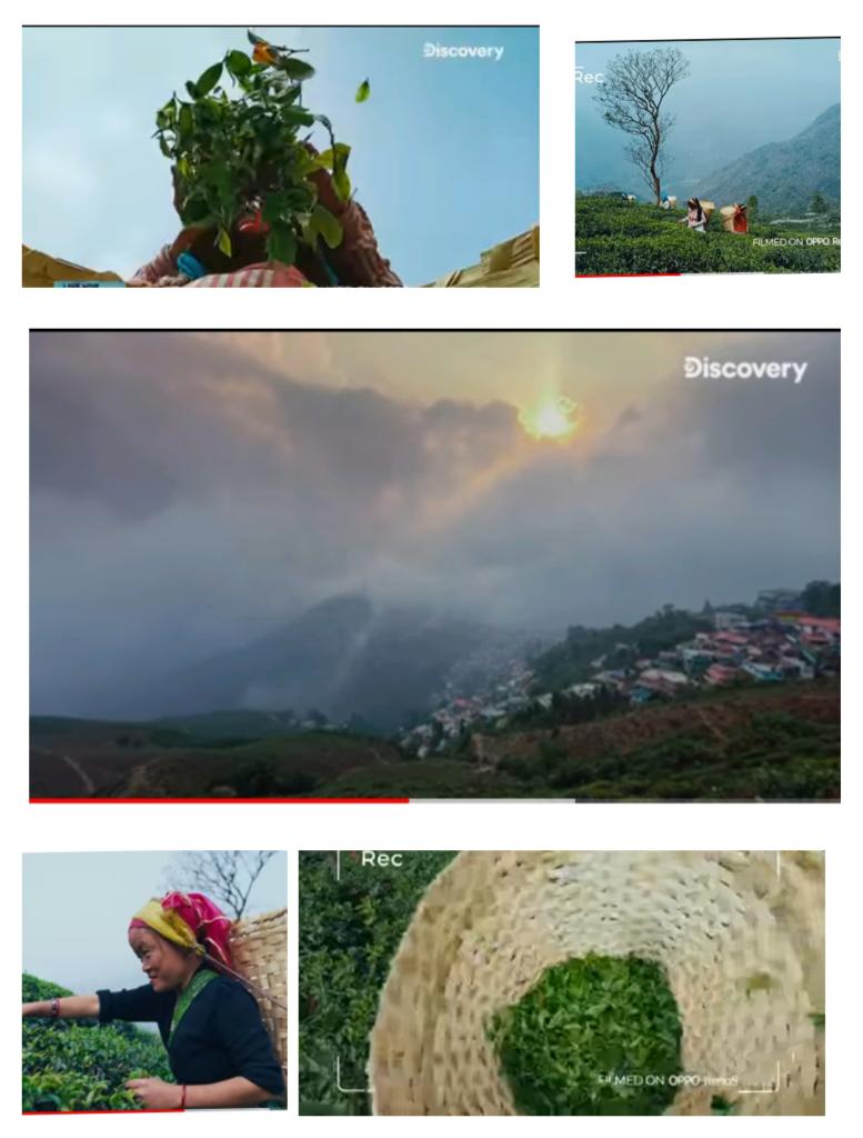 JayshreeMalhot6's tweet photo. @oppomobileindia #LifeUnScene #shotonOPPO My favourite part is the beautiful scenic beauty where light changes every 10 feet and #AnunaySood had to click beautiful pictures and videos in just taps of few buttons on #OPPOReno5 Pro 5G
@oppomobileindia https://t.co/r9yaYKat1P