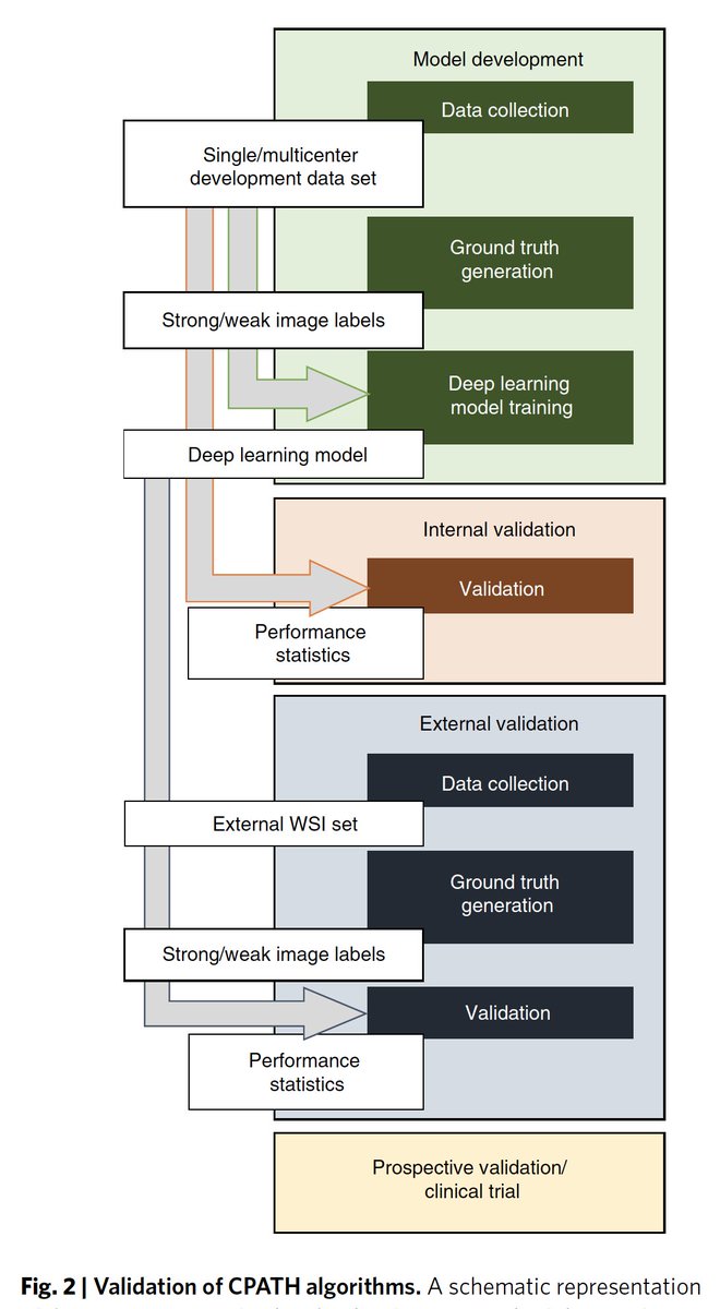 Eric Topol tweet media