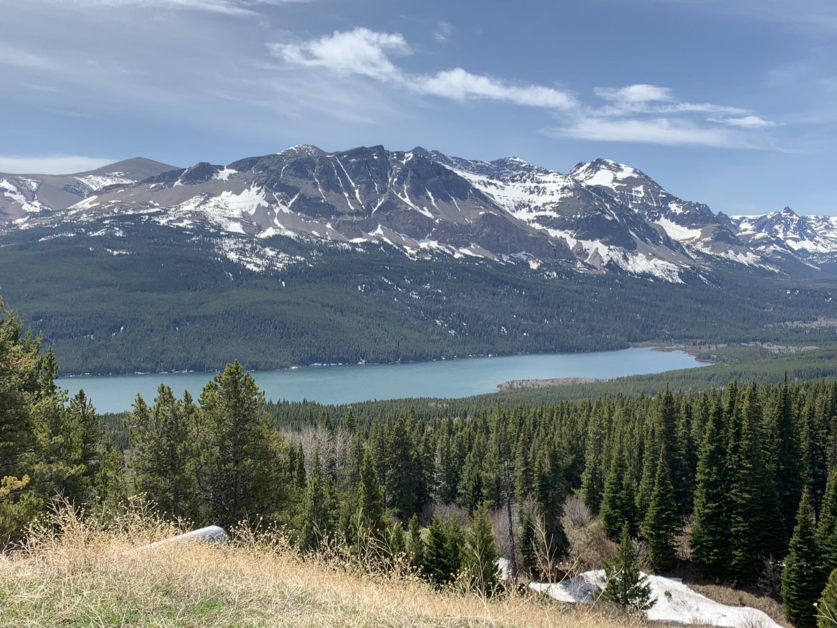 Blake Smith tweet media