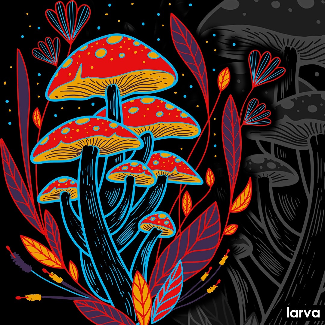 LarvaClothing's tweet photo. El uso de hongos alucinógenos se remonta a la época prehispánica. Los aztecas les llamaban "teonanacatl", que en náhuatl significa carne de dios.

https://t.co/fbniXKlzQ3 

#mushrooms #hongos #teonanacatl #hongosalucinogenos #LarvaDesigns https://t.co/BMAHaWngwB