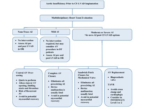 NahushMokadam's tweet photo. Our faculty dive into the #epidemiology and #management of #AorticValveDisease following #LVAD. Check out their recent findings!
#cardiacsurgery #research #CardioTwitter https://t.co/AJXXnE4Gmf