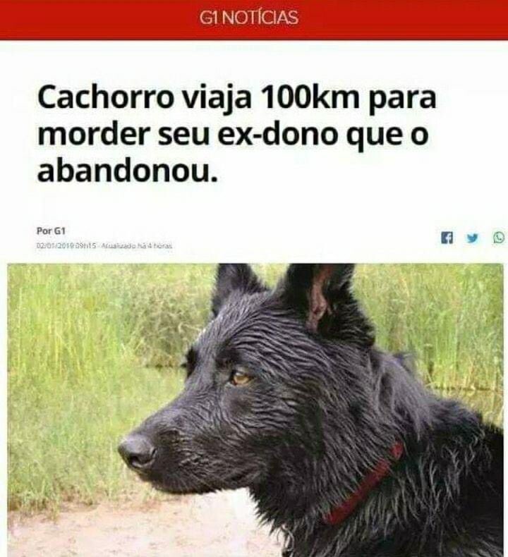 escorpicas's tweet photo. o cachorro escorpiano https://t.co/1v1D4V2nR8