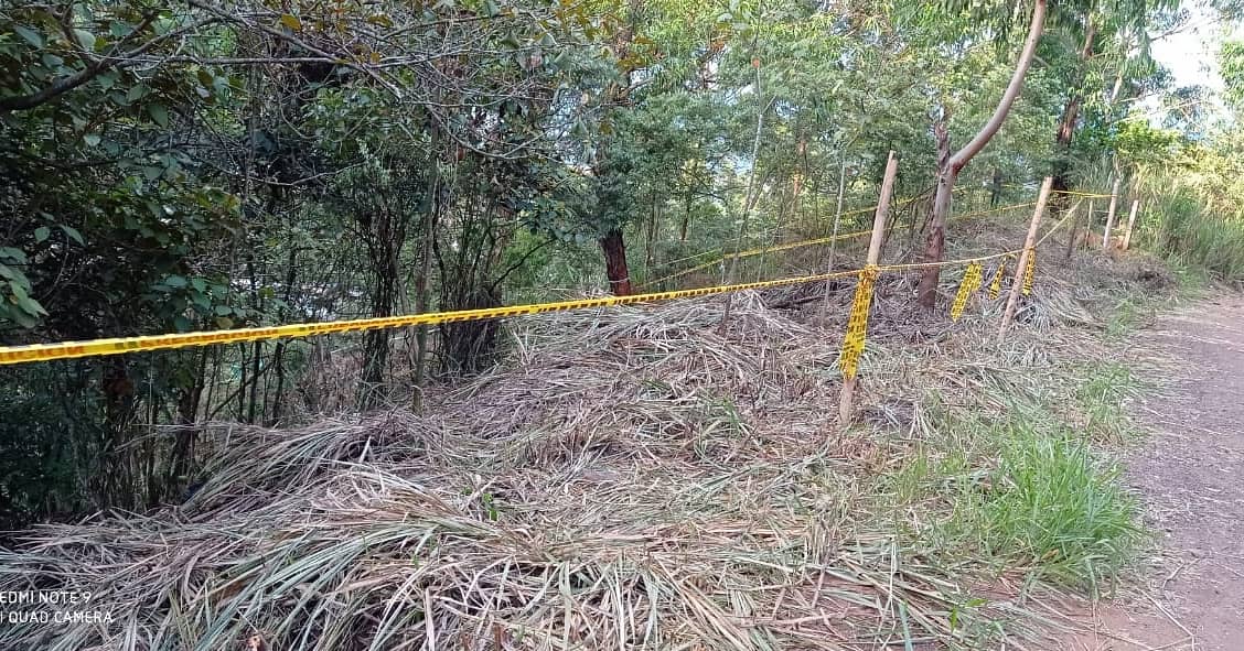 calioknoticias's tweet photo. SE NECESITA AUTORIDADES AMBIENTALES ❗

Las imágenes de la inconciente deforestación masiva por invasión en una zona forestal, cuando no son los incendios el más peligroso es el ser humano. SOS MONTEBELLO-GOLONDRINAS😕🆗 https://t.co/d9ECYmA3yz