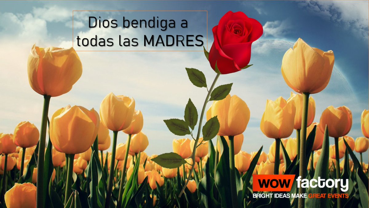 WowFactoryMX tweet picture