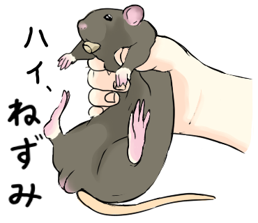 ラットが好きすぎるのtwitterイラスト検索結果