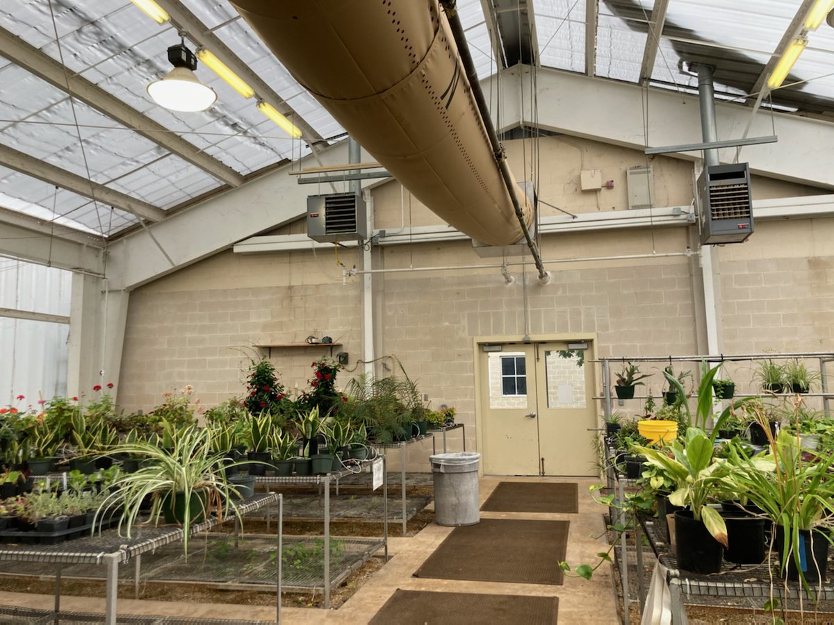 Did you know that we have a plant science component to our program?  Students can work in a greenhouse, a garden or practice their floral design skills with us. <a href="/AgMag_NISD/">Agriculture Science & Technology Academy NISD</a> <a href="/NISD_CTE/">NISD_CTE</a>