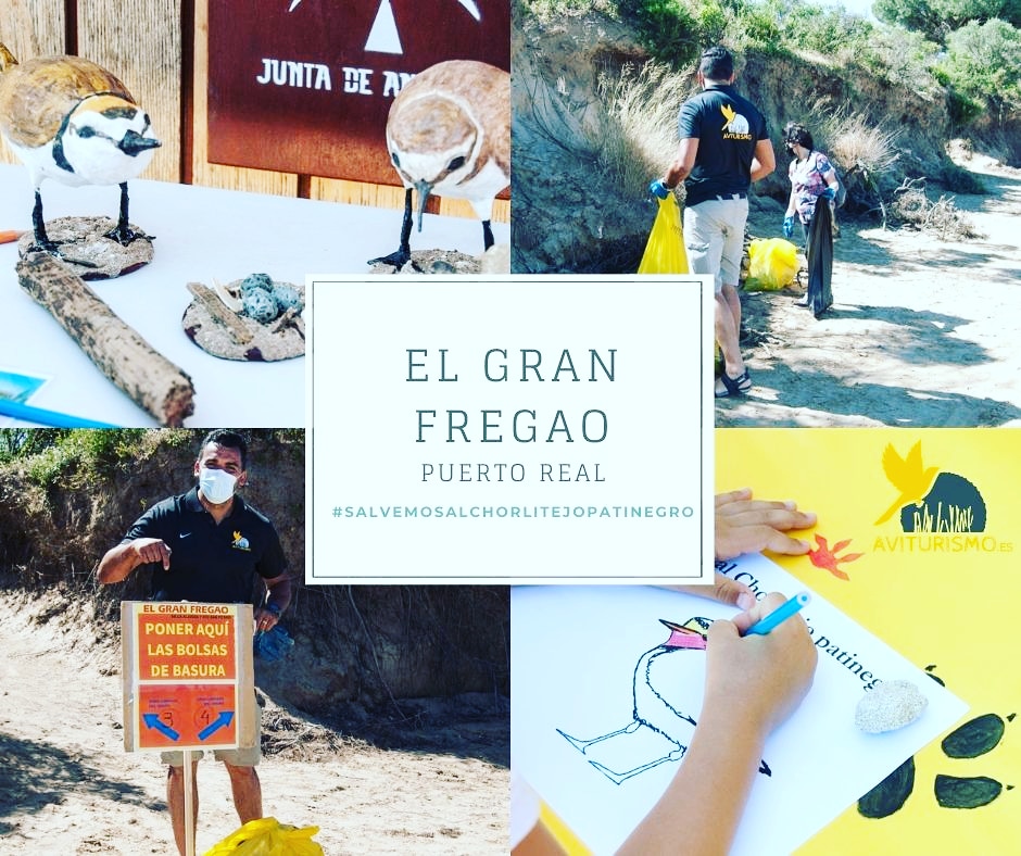 AVITURISMO1's tweet photo. Estuvimos en el #granfregado @puertorealhoy donde aportamos nuestros conocimientos en #salvememoschorlitejopatinegro y ayudamos en la limpieza del #riosanpedro #bird #BIRDWATCHING #aves #observacionaves #ornitologia https://t.co/ihGLk8KpLm