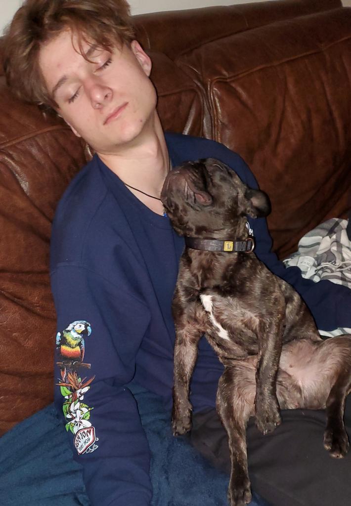 Wow! It's been a while, sorry about that. I can't believe there are 100k of you now. Thank you so much!!! I have been buried in school work but 2 years of CEGEP are now done!  #currentmood Archie and I recuperate and get ready for summer.