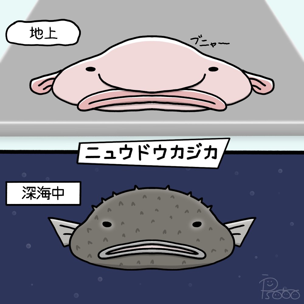 Twoucan Blobfish の注目ツイート イラスト マンガ コスプレ モデル