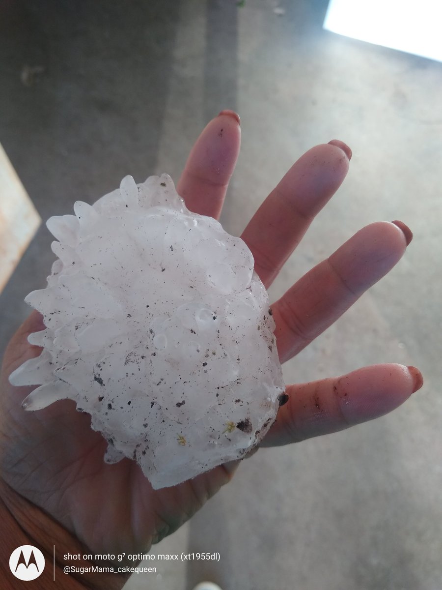 SugarMamaSweet2's tweet photo. As if the February snow storm of 2021 weren't enough, we here in Texas were viciously attack by spiked, hybrid hail last night. Lots of damaged vehicles and homes, with more to come tonight. Send help, we are NOT ok! #hailstorm2021 #texasstrong #texasstorms #hybridhail #sendhelp https://t.co/DkRsZPxDyf