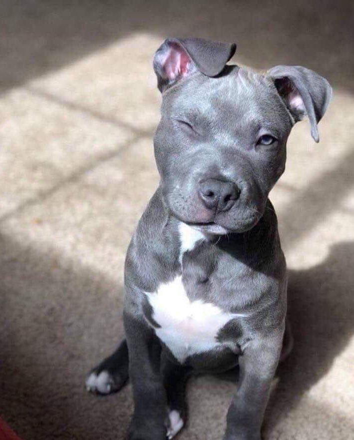 DRIP (@dript3r) on Twitter photo 