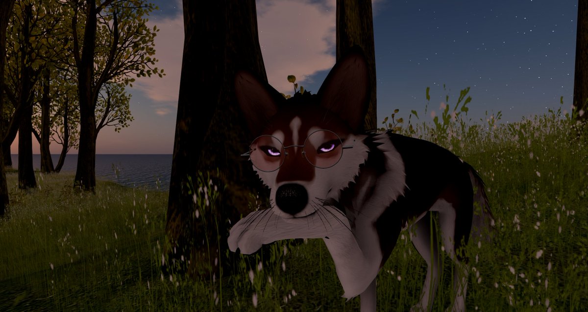Gonna leave a fox waiting~? ♥

#SecondLife #furry #feral #secondlifefurry #sl